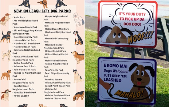 Leashes On, Paws Out As Honolulu Opens 36 Parks To Dogs