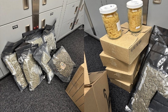 Lehi Stash House Busted as Cops Haul Mountain of THC Treats and Cash