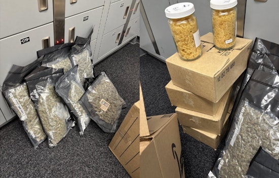 Lehi Stash House Busted as Cops Haul Mountain of THC Treats and Cash