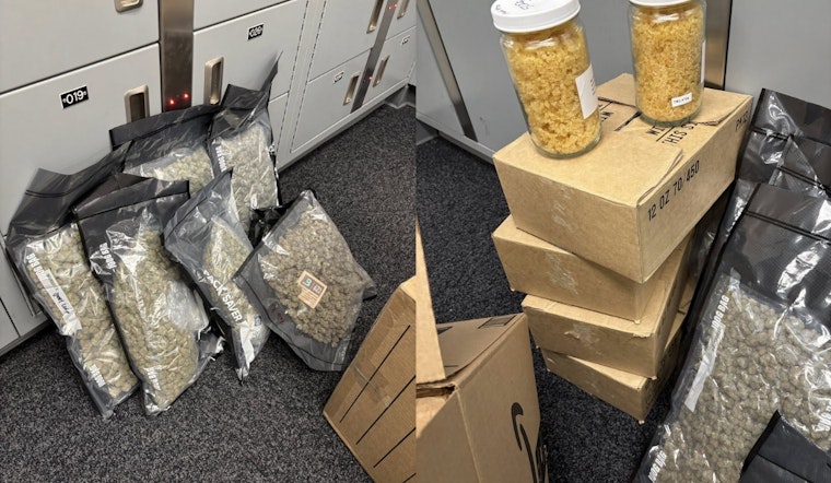 Lehi Stash House Busted as Cops Haul Mountain of THC Treats and Cash
