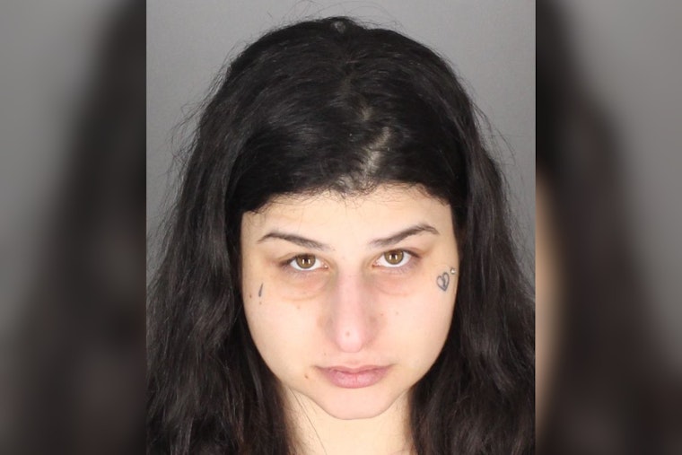 Macomb County Woman Charged with Felony Extortion of Men Through Adult Websites