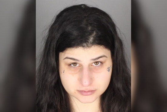 Macomb County Woman Charged with Felony Extortion of Men Through Adult Websites
