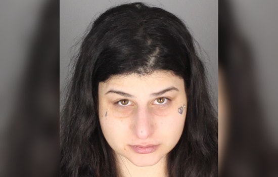 Macomb County Woman Charged with Felony Extortion of Men Through Adult Websites