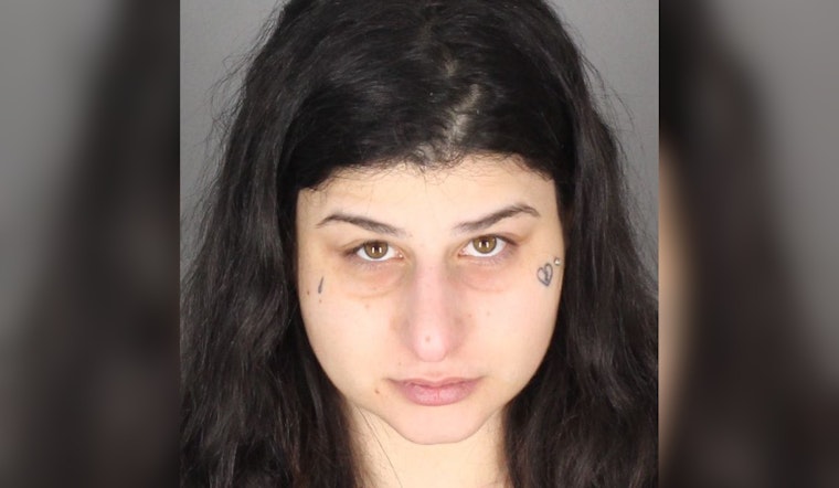 Macomb County Woman Charged with Felony Extortion of Men Through Adult Websites