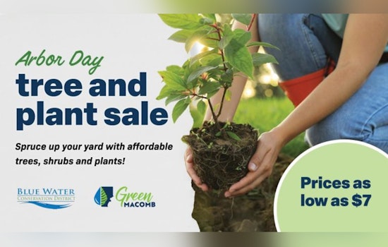 Macomb County's Blue Water Conservation District Launches Annual Tree and Plant Sale for Eco-Friendly Community Boost