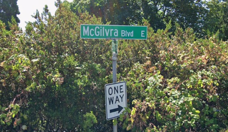 Madison Park Neighbors Go to War Over Giant Hillside Redwood