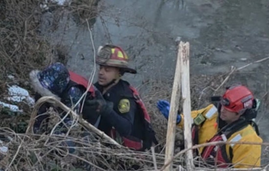 Madisonville Firefighters Brave Icy Gully To Save 11-Year-Old Girl