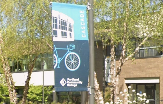 Man Accused Of Groping Woman In PCC Sylvania Library Still On The Loose