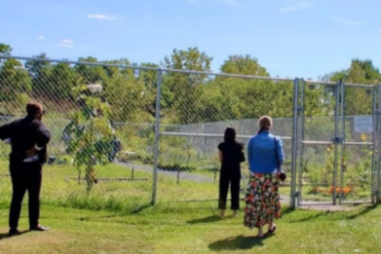 Maple Heights Teams Up with TCWP for Native Pollinator Garden Project, Boosted by Conservation Grant
