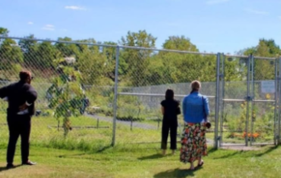 Maple Heights Teams Up with TCWP for Native Pollinator Garden Project, Boosted by Conservation Grant