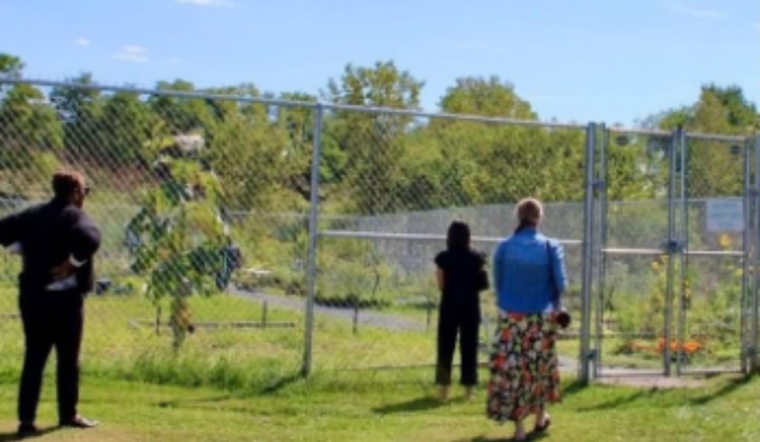 Maple Heights Teams Up with TCWP for Native Pollinator Garden Project, Boosted by Conservation Grant