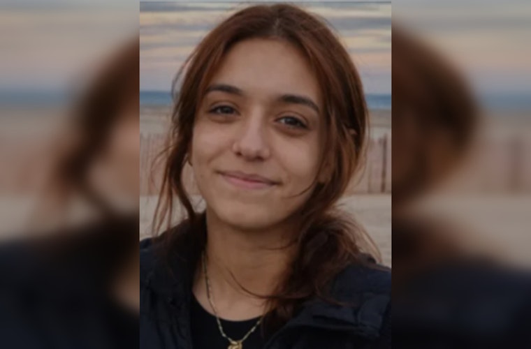 Marinette ‘Don’t Shoot Me’ Plea Ends In Tragedy As Suspect Nabbed After 100 Mph Chase