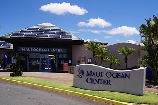 Maui Ocean Center's 15th Annual Maui 5K Puts Local Schools in the Fast Lane