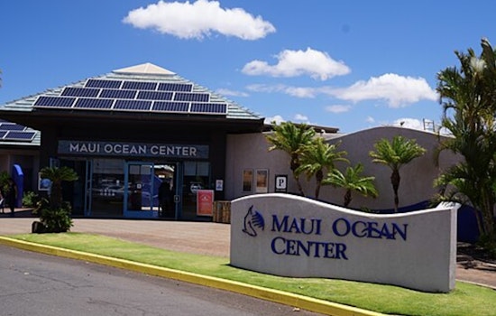 Maui Ocean Center's 15th Annual Maui 5K Puts Local Schools in the Fast Lane