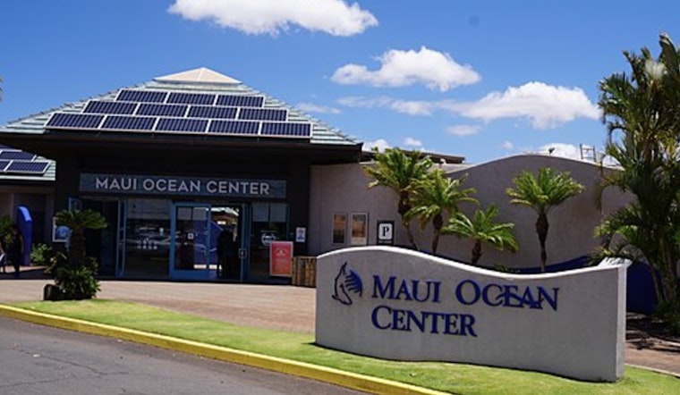 Maui Ocean Center's 15th Annual Maui 5K Puts Local Schools in the Fast Lane