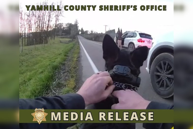 Blown Tire Ends Wild BMW Chase Across McMinnville Backroads