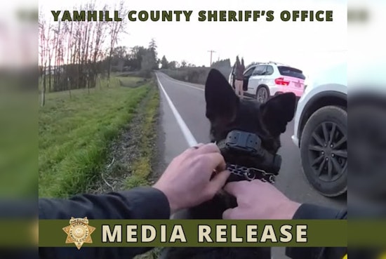 Blown Tire Ends Wild BMW Chase Across McMinnville Backroads