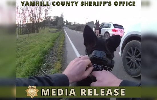 Blown Tire Ends Wild BMW Chase Across McMinnville Backroads