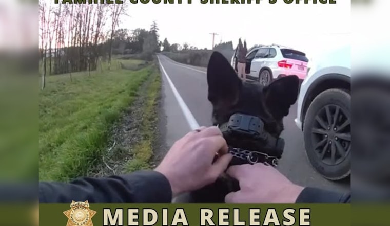 Blown Tire Ends Wild BMW Chase Across McMinnville Backroads