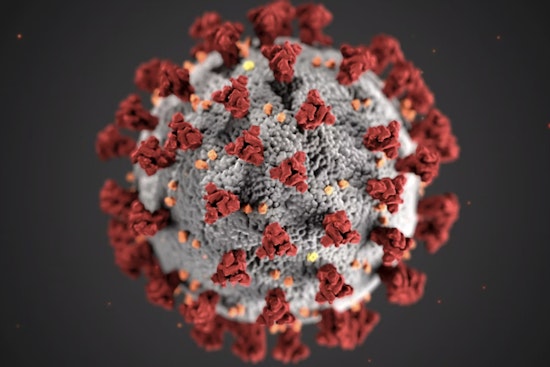 Measles Scare at Atrium ICU, South End Chipotle and Two Charlotte Goodwills