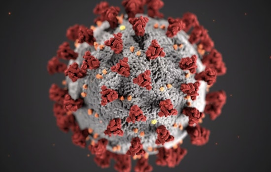 Measles Scare at Atrium ICU, South End Chipotle and Two Charlotte Goodwills