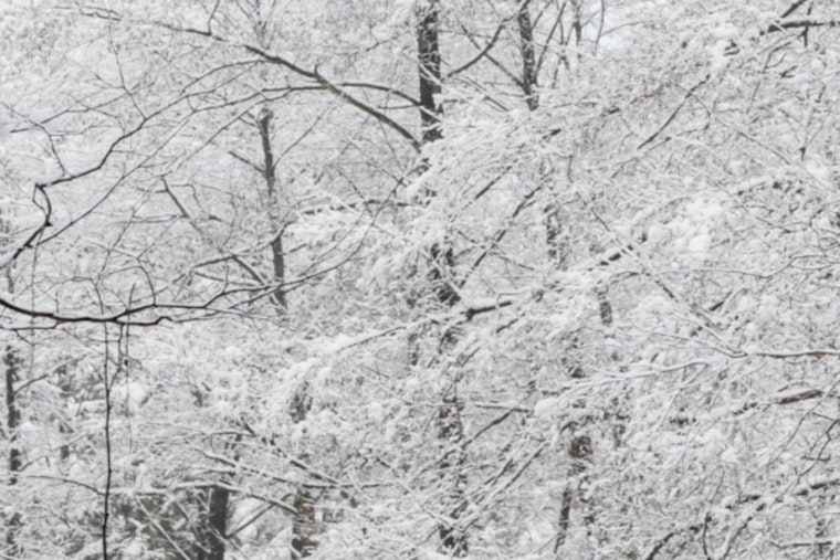 Mecklenburg County, Including Charlotte, Under Emergency Lockdown Amid Extreme Winter Weather