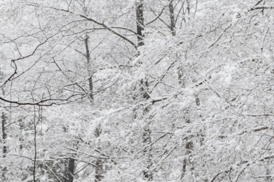 Mecklenburg County, Including Charlotte, Under Emergency Lockdown Amid Extreme Winter Weather