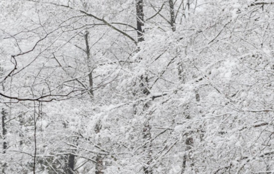 Mecklenburg County, Including Charlotte, Under Emergency Lockdown Amid Extreme Winter Weather