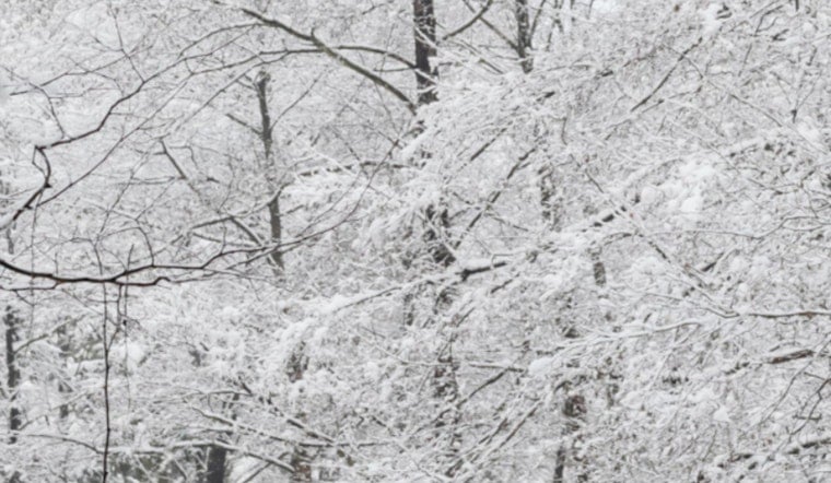 Mecklenburg County, Including Charlotte, Under Emergency Lockdown Amid Extreme Winter Weather