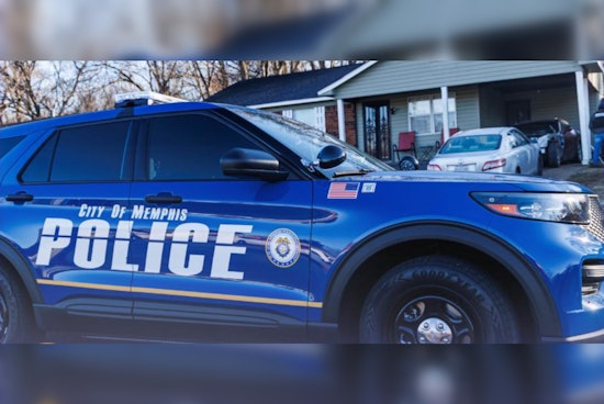 Memphis Dog Found Shot In Ditch, Woman's Boyfriend Charged With Felony Cruelty