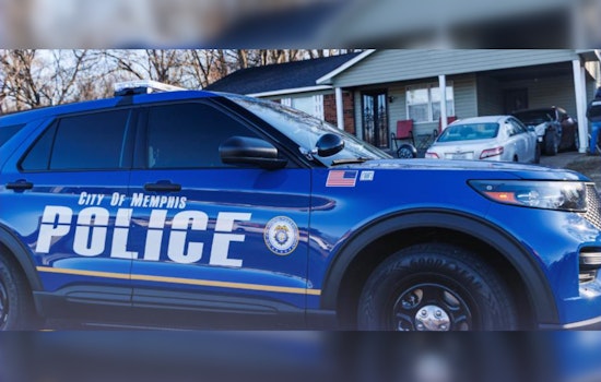 Memphis Dog Found Shot In Ditch, Woman's Boyfriend Charged With Felony Cruelty