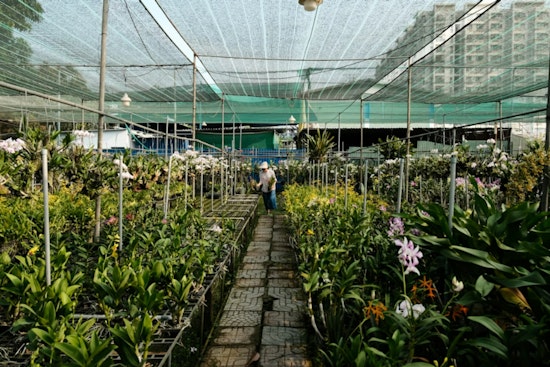Miami Plant Workers Turn Up Heat on Big-Box Retailers After Safety Rules Fizzle