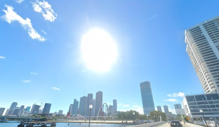 Miami Welcomes Return to Sunny Skies and Warmer Temps After Unseasonal Chill