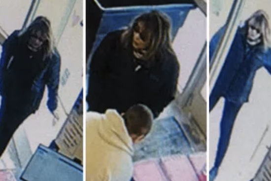 Michigan Police Seek Woman Who Donated Human Skull in Chelsea