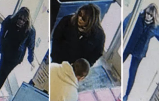 Michigan Police Seek Woman Who Donated Human Skull in Chelsea