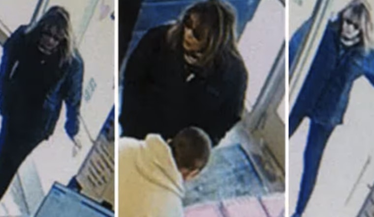 Michigan Police Seek Woman Who Donated Human Skull in Chelsea