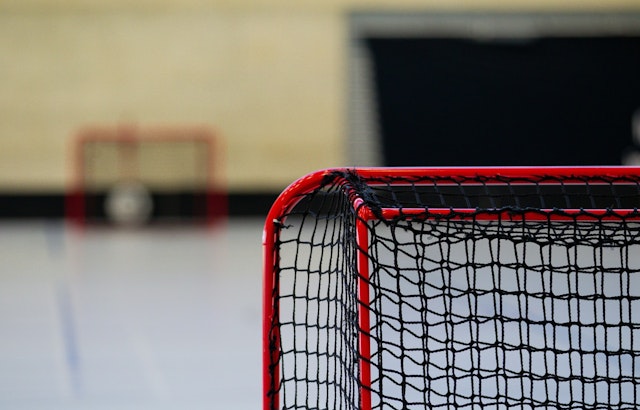 Milan Ice Showdown: U.S. Men Battle Slovakia For Shot At Gold