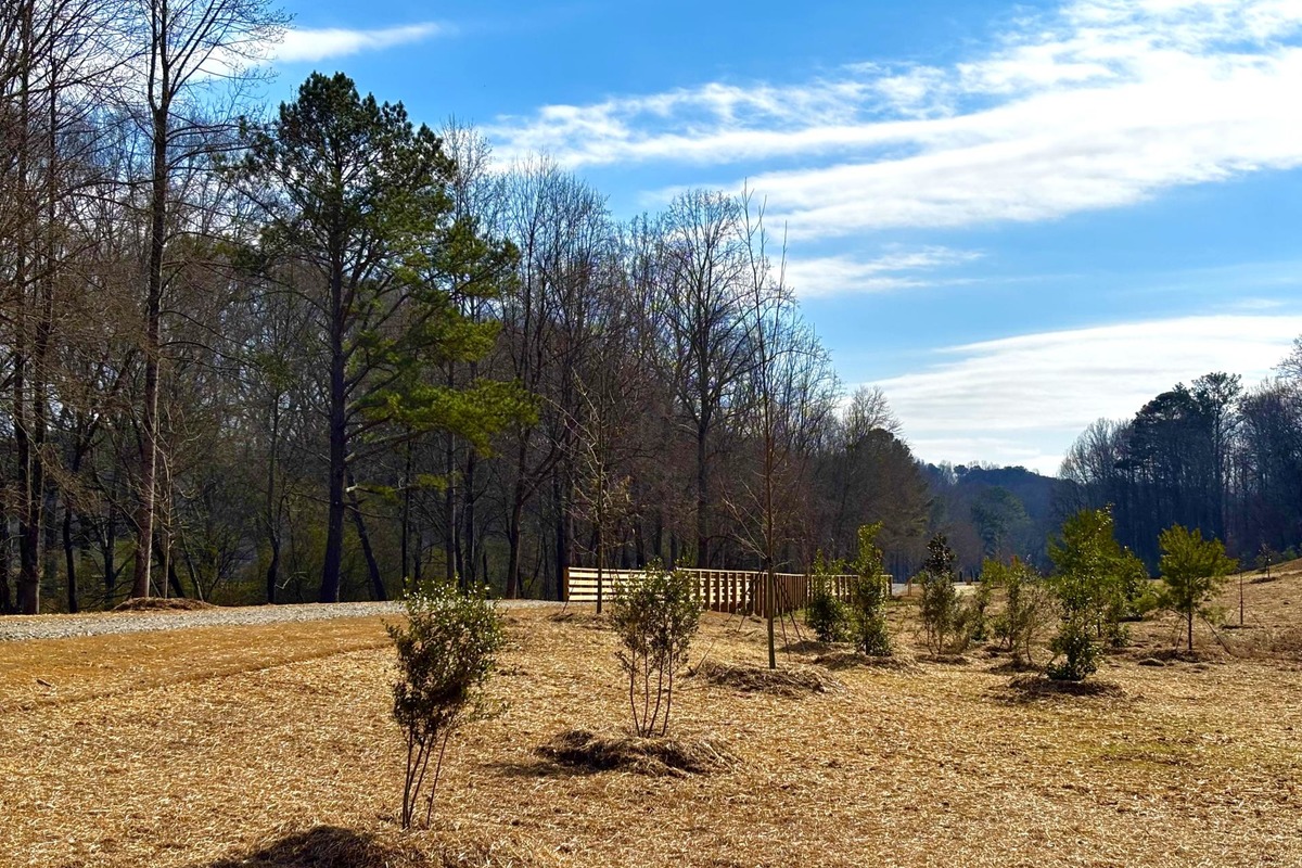 Photo inspiration: Visual Reference: Milton S Parks To Receive Eco Friendly Updates And New