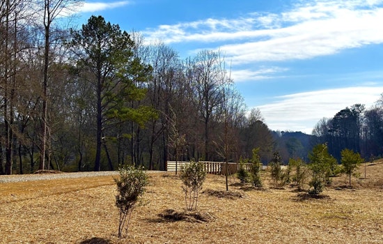 Milton's Parks to Receive Eco-Friendly Updates and New Program Partnerships Following Advisory Board Meeting