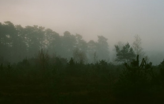 Milwaukee Shrouded in Fog Amid Fluctuating Temperatures, Precipitation Ahead, National Weather Service Forecast