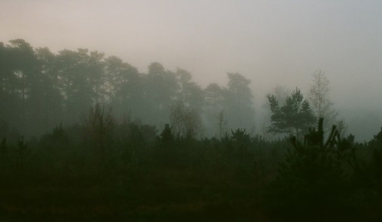 Milwaukee Shrouded in Fog Amid Fluctuating Temperatures, Precipitation Ahead, National Weather Service Forecast