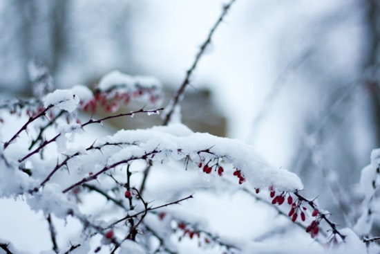 Milwaukee's Spring Whiplash as Pleasant Temps to Plummet with Rain and Snow in Forecast