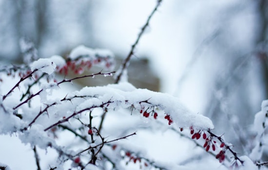 Milwaukee's Spring Whiplash as Pleasant Temps to Plummet with Rain and Snow in Forecast