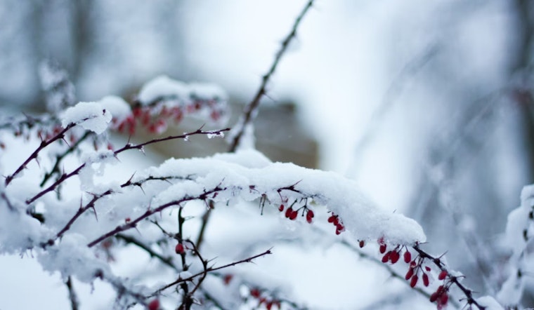 Milwaukee's Spring Whiplash as Pleasant Temps to Plummet with Rain and Snow in Forecast