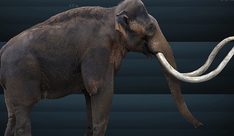 Missouri Bone Hunter Hauls 92-Pound 'Mammoth' From Backwoods Pond