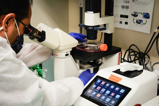 Mizzou's New 'Skin Scout' AI Takes On Melanoma in Columbia