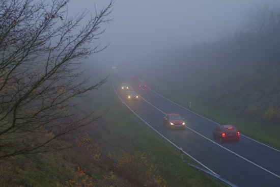 Morning Fog Chokes Tampa Commute, But Laid-Back Weekend Looms