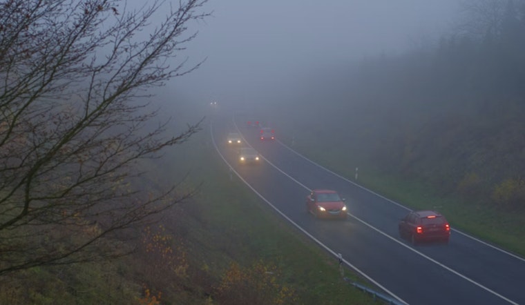 Morning Fog Chokes Tampa Commute, But Laid-Back Weekend Looms