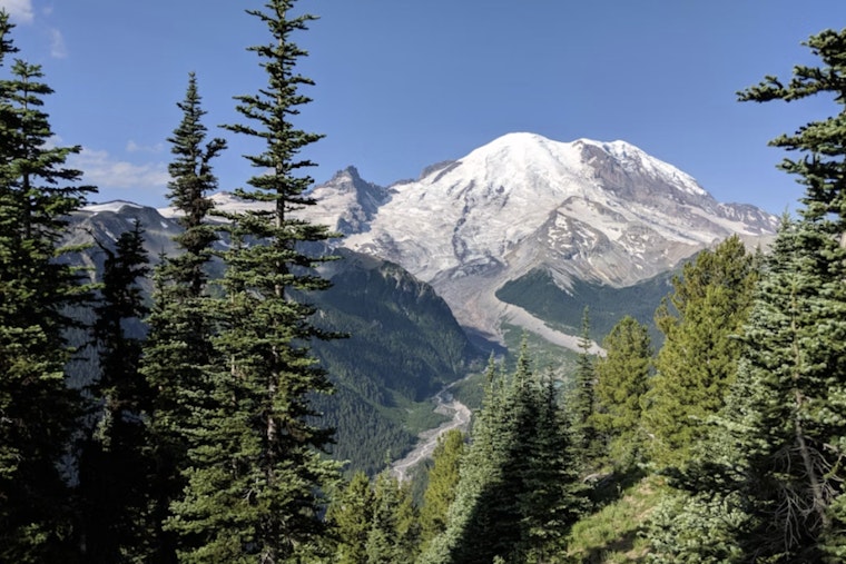 Mount Rainier Nixes Timed Tickets, Braces For Wild Summer Crowds