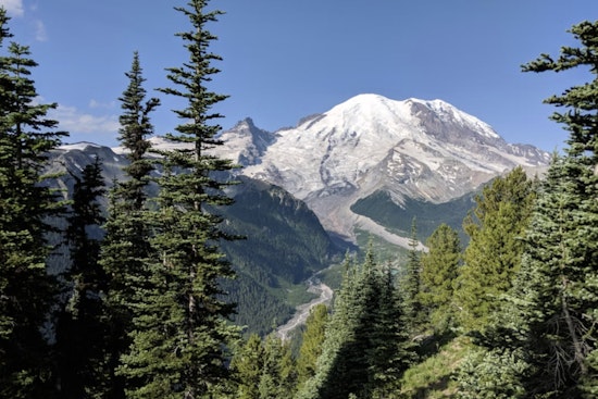Mount Rainier Nixes Timed Tickets, Braces For Wild Summer Crowds